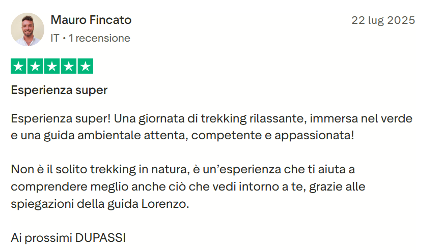 Recensione 21